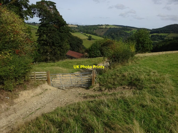 Photo 6"x4" Vron peeping out from the trees at the bottom of a very rough track Pentre Hodre c2021