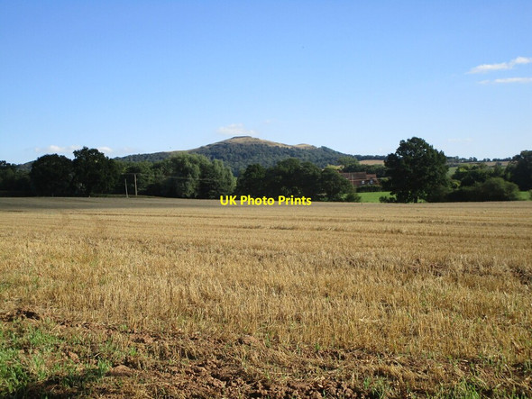 Photo 6"x4" Stubble field near Colwall Colwall c2021