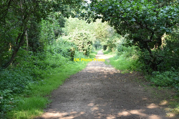 Photo 6"x4" Eden Valley Way Lower Haysden c2021