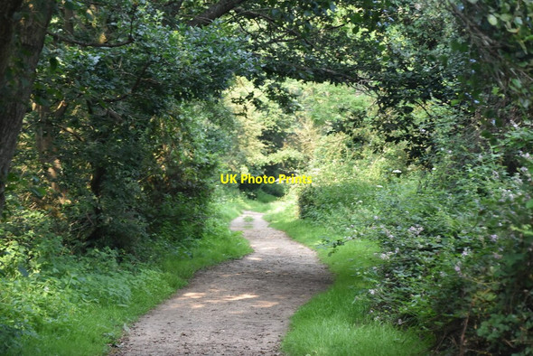 Photo 6"x4" Eden Valley Way Lower Haysden c2021 P1