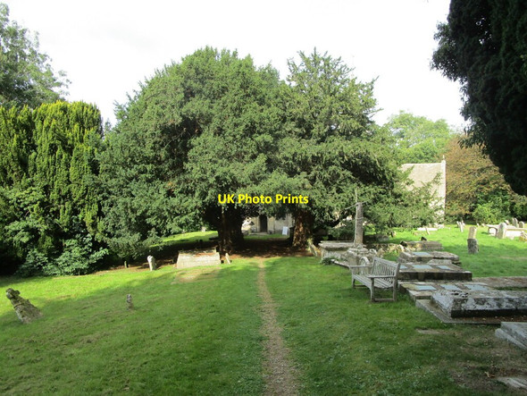 Photo 6"x4" Path through the churchyard, Sapperton Daneway c2021