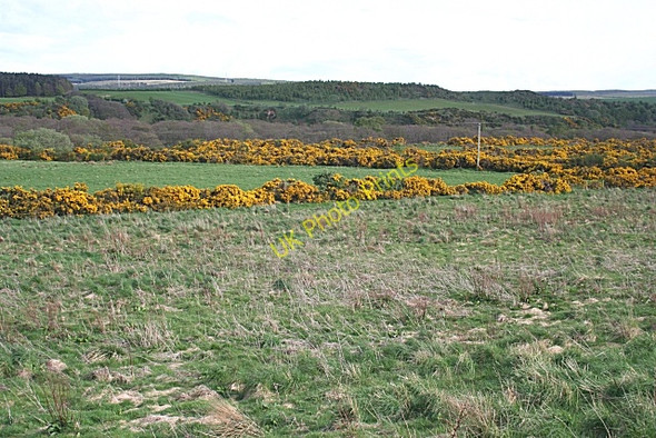 Photo 6"x4" Near Upper Bogside Thomshill c2009