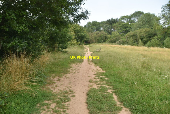 Photo 6"x4" Footpath in Haysden Country Park Barden Park c2021