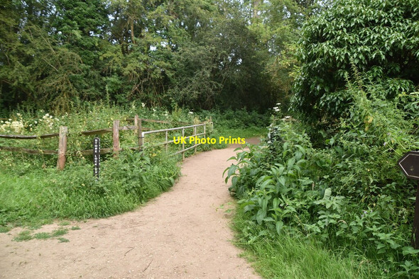 Photo 6"x4" Stone Lock Bridge Tonbridge c2021