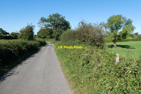 Photo 6"x4" Thorneymarsh Lane Cockhill\/ST6231 c2021