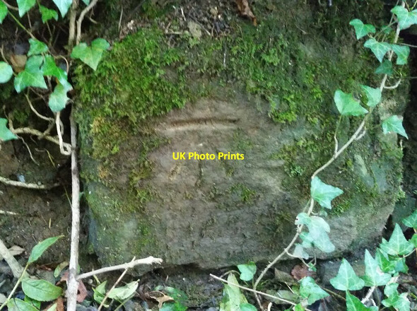 Photo 6"x4" Ordnance Survey Cut Mark Heol-laethog c2021
