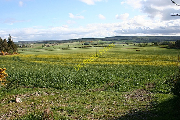 Photo 6"x4" Near the Knock of Alves Newton\/NJ1663 c2009