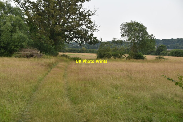 Photo 6"x4" Meadow, Lower Haysden Lower Haysden c2021