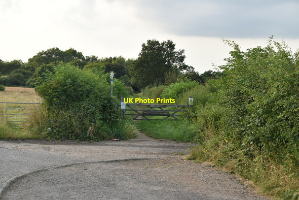 Photo 6"x4" Wealdway off Lower Haysden Lane Lower Haysden c2021
