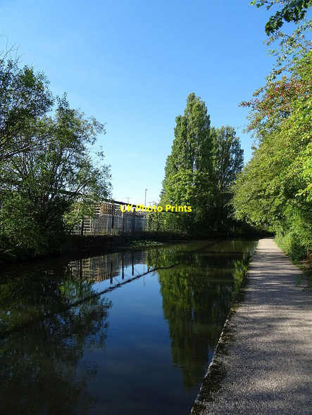 Photo 6"x4" Coventry Canal Edgwick c2021