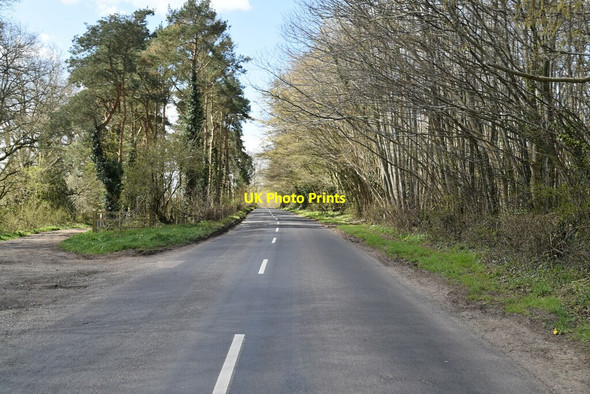 Photo 6"x4" West St Little Chart Forstal c2021 P1