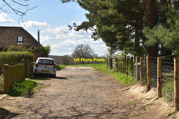 Photo 6"x4" Stour Valley Walk Little Chart Forstal c2021