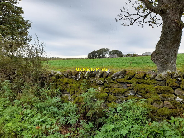 Photo 6"x4" Drystone Wall near Cambusavie Farm Badninish c2021