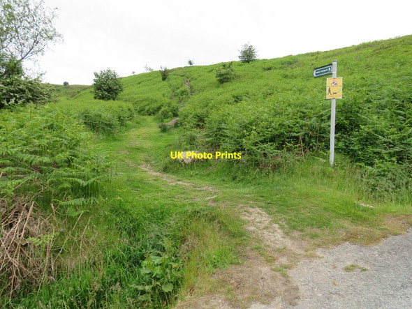 Photo 6"x4" Public footpath on Ilkley Moor Ilkley c2021