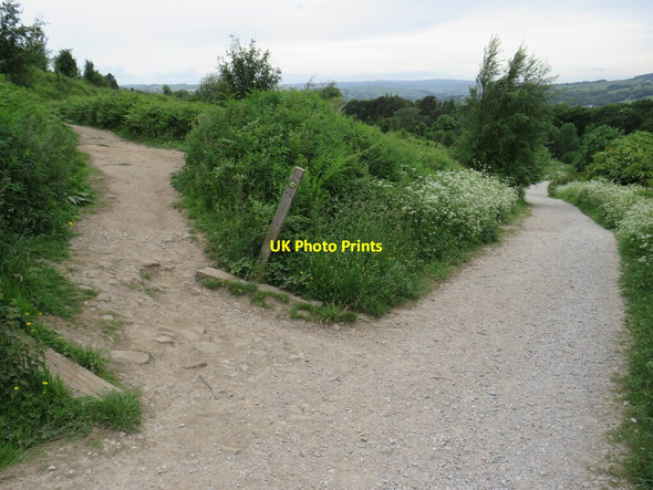 Photo 6"x4" Millennium Way, Ilkley Moor Ilkley c2021 P1