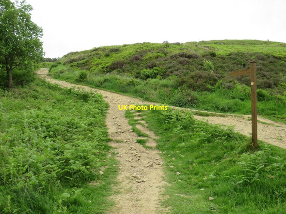 Photo 6"x4" Millennium Way, Ilkley Moor Ilkley c2021