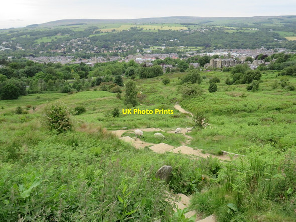 Photo 6"x4" Footpath on Ilkley Moor Ilkley c2021
