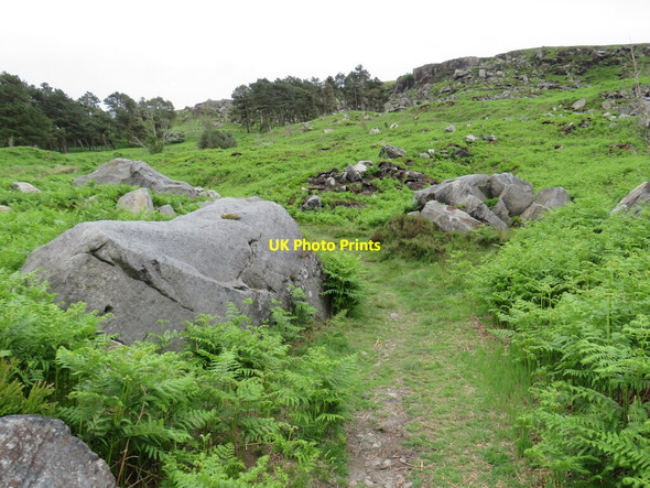 Photo 6"x4" Path across Ilkley Moor Ilkley c2021