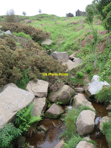 Photo 6"x4" Backstone Beck, Ilkley Moor Ilkley c2021