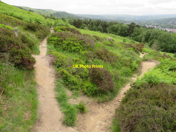 Photo 6"x4" Paths on Ilkley Moor Ilkley c2021