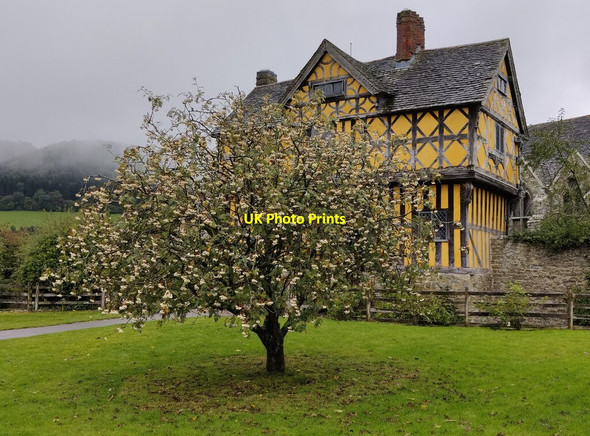 Photo 6"x4" The Gatehouse at Stokesay Castle Stokesay c2021
