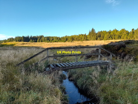 Photo 6"x4" Bridge near Camster Forest Roster c2021