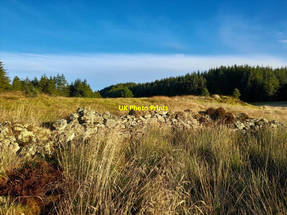 Photo 6"x4" Sheepfold, Parish of Latheron Roster c2021