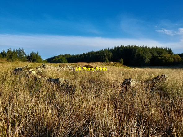 Photo 6"x4" Sheepfold, Parish of Latheron Roster c2021