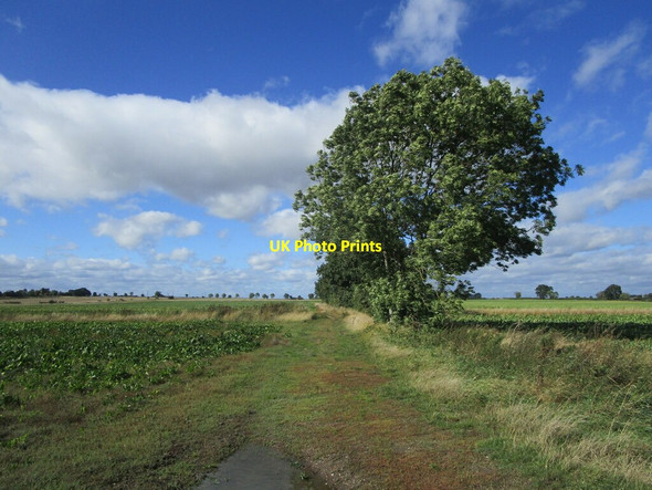 Photo 6"x4" Farm track off Plot Lane, South Scarle South Scarle c2021