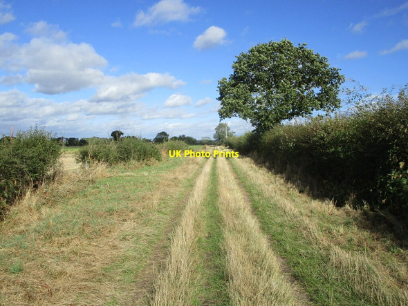 Photo 6"x4" Bridleway from Swinderby Road, Collingham to South Scarle Collingham\/SK8361 c2021