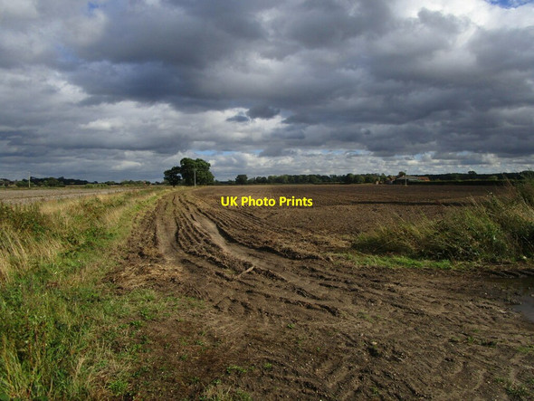 Photo 6"x4" Harrowed field off South Scarle Lane North Scarle c2021
