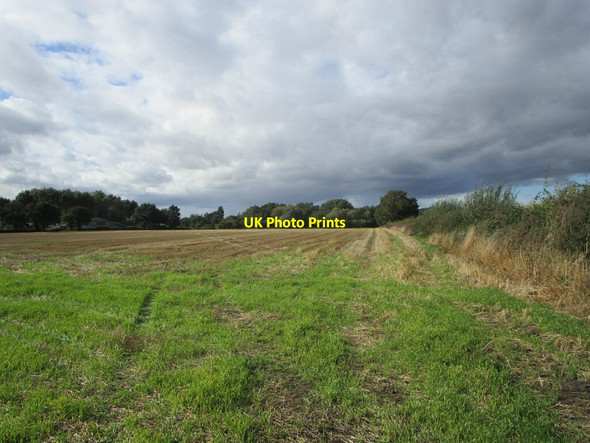 Photo 6"x4" The Weddell Fields Girton\/SK8266 c2021