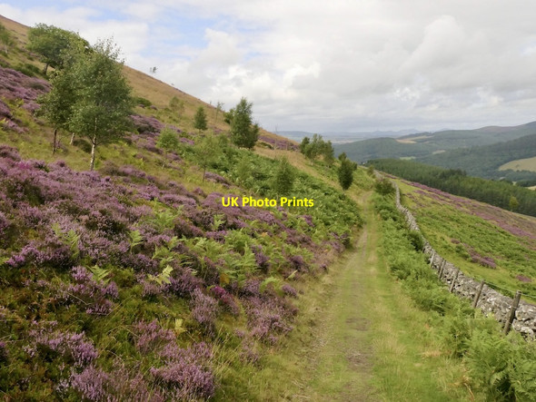 Photo 6"x4" Old Drove Road passing Craig Head Eshiels c2021