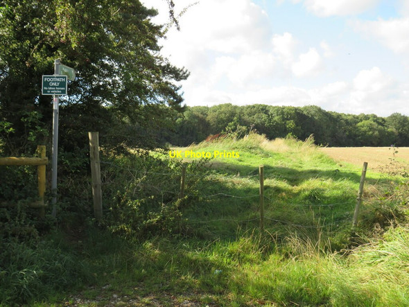 Photo 6"x4" Footpath near Eynsford Eynsford c2021