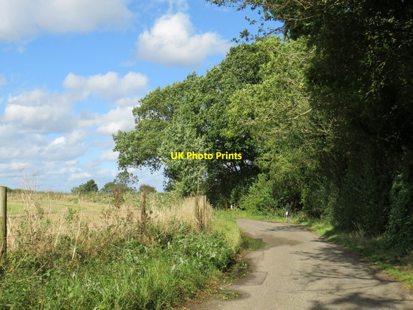 Photo 6"x4" Bower Lane, near Eynsford East Hill\/TQ5562 c2021