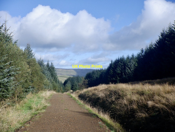 Photo 6"x4" Forest road, Lecket Hill Lecket Hill c2021