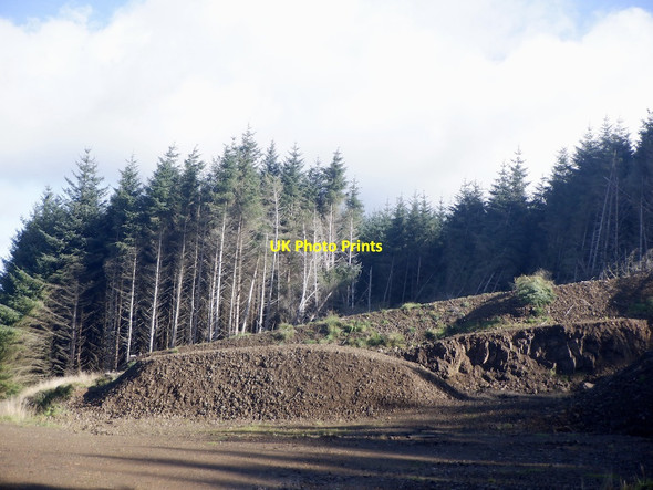 Photo 6"x4" Forestry road and quarry Lecket Hill c2021