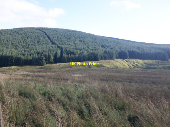 Photo 6"x4" Forested slopes of Meike Bin Bin Burn c2021
