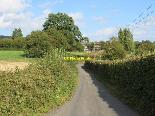 Photo 6"x4" Wrotham Water Lane, near Trottiscliffe Trottiscliffe c2021