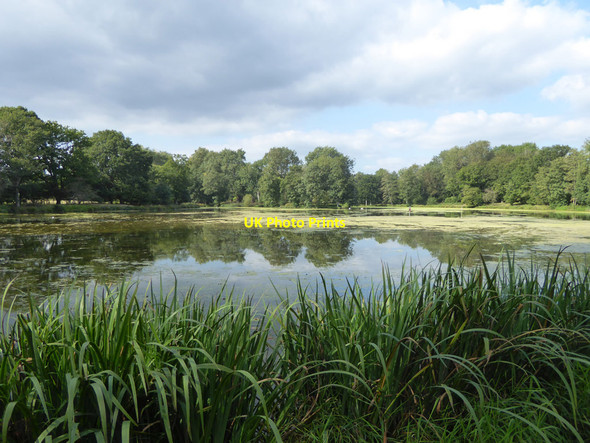 Photo 6"x4" Top pond for Fen Place Mill Crawley Down\/TQ3437 c2021