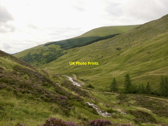 Photo 6"x4" Glen Lochsie Glenlochsie Lodge c2021