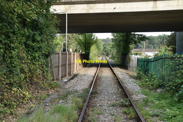 Photo 6"x4" Marlow Branch Line Marlow\/SU8586 c2020