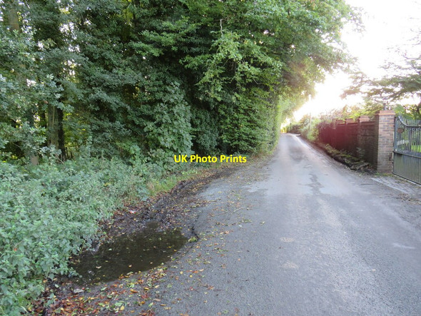 Photo 6"x4" White Horse Road, near Vigo Great Buckland c2021