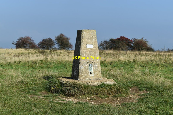 Photo 6"x4" Trig point on summit of Butser Hill Weston\/SU7221 c2021