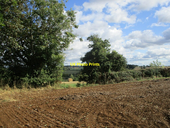 Photo 6"x4" Gap in a hedge Tadmarton c2021
