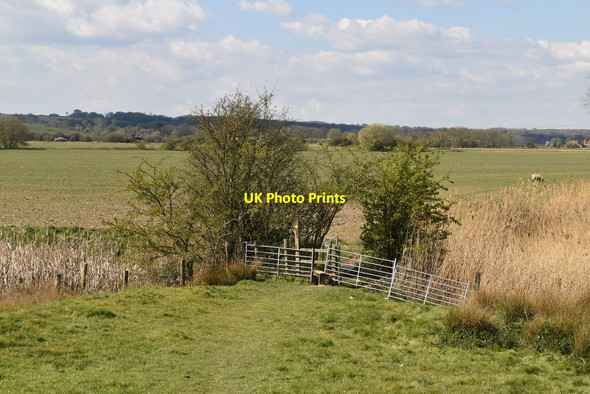 Photo 6"x4" Saxon Shore Way Appledore\/TQ9529 c2021