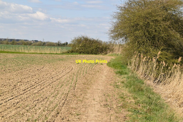 Photo 6"x4" Saxon Shore Way Appledore\/TQ9529 c2021 P2