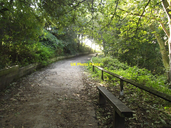 Photo 6"x4" The path up from Mile Haven Filey c2021