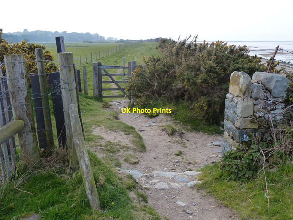 Photo 6"x4" Wales Coast Path along the Lavan Sands Abergwyngregyn c2019