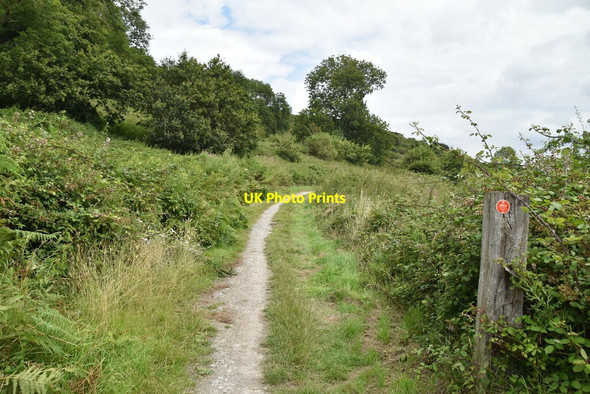 Photo 6"x4" 1066 Country Walk Rye c2021